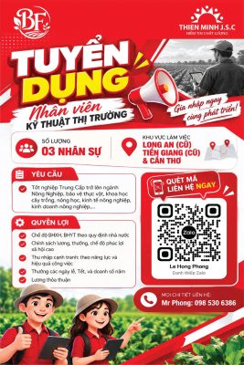 TUYỂN DỤNG NHÂN VIÊN KỸ THUẬT THỊ TRƯỜNG